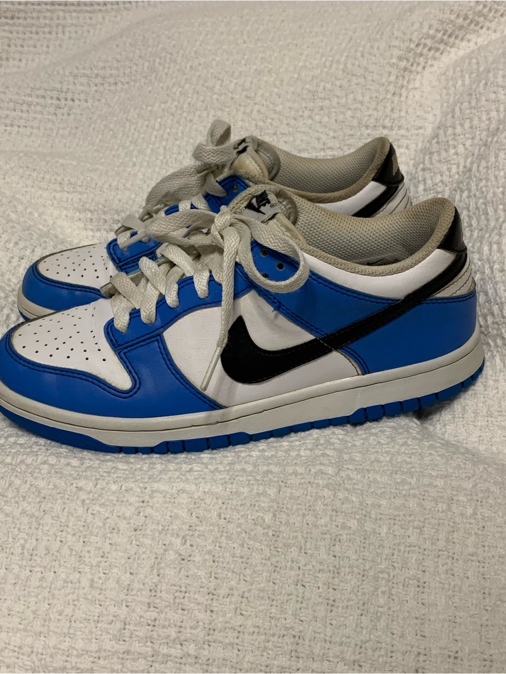 Nike Dunks Youth Low-Profile Sneakers in White / Blue / Black